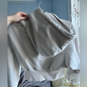 Cozy Fleece perfect shrunken hoodie from aritzia, never worn